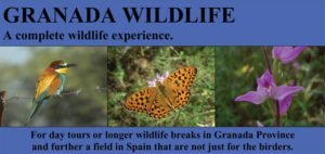 Granada wildlife with Mich Richardson