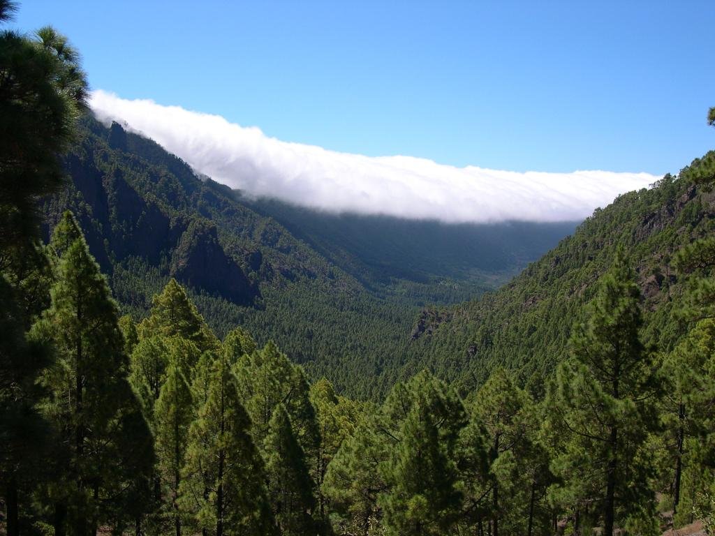National parks in the Canary Islands