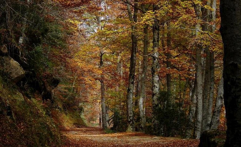 Natural Park of Sierra de Cebollera - La Rioja