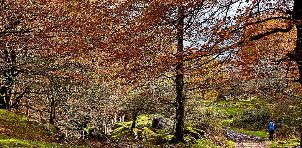 Walking in Navarra Natural Parks