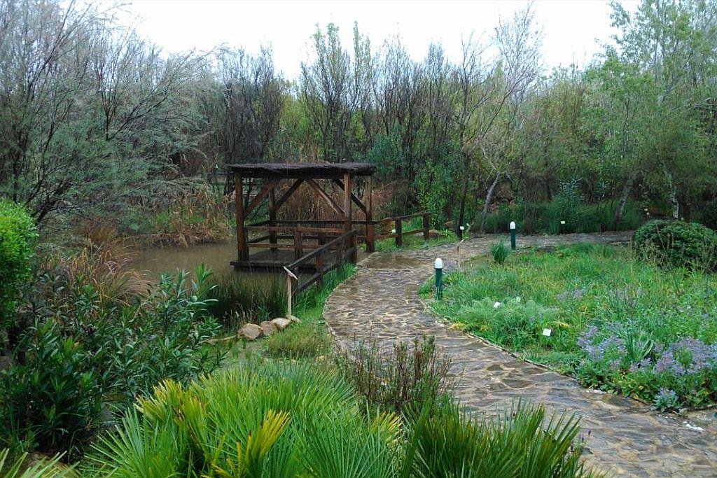 Aljilbe botanic garden in Alcala de los Gazules