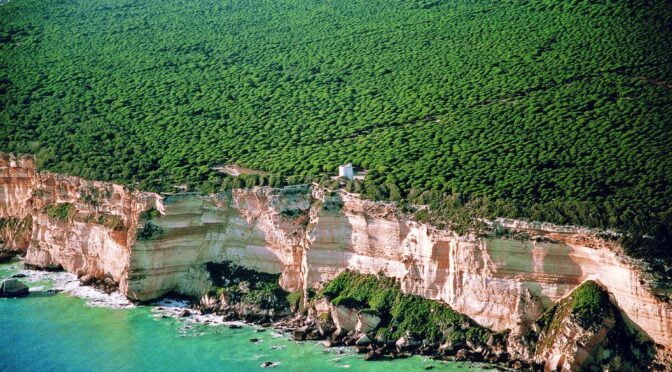 Halfway between The Bay of Cadiz and El Estrecho between Mediterranean and Atlantic waters is the La Breña y Marismas de Barbate Natural Park
