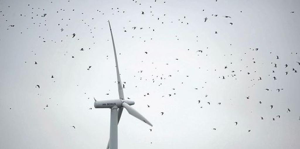 Wind turbines painted black
