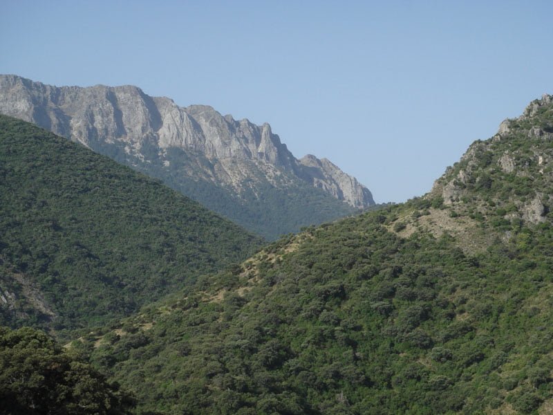 The Natural Park of the Sierra de Grazalema - Walking and Wildlife Holidays in Spain