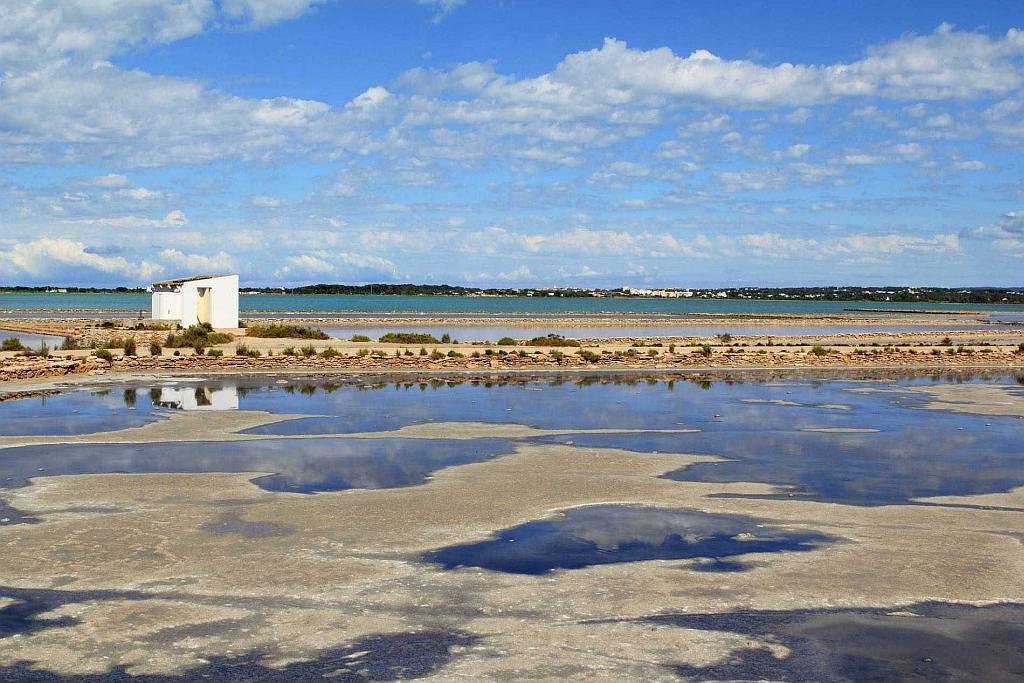 Located between islands of Eivissa and Formentera, the Ses Salines d’Eivissa i Formentera Natural Park covers the channel that separates the two islands and also part of the land masses.