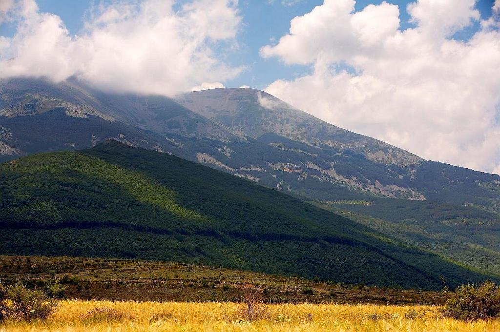 The Moncayo Natural Park is a protected natural area located in the province of Zaragoza on the border with the province of Soria.