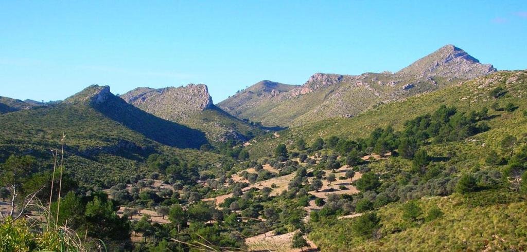 Península del Llevant Natural Park