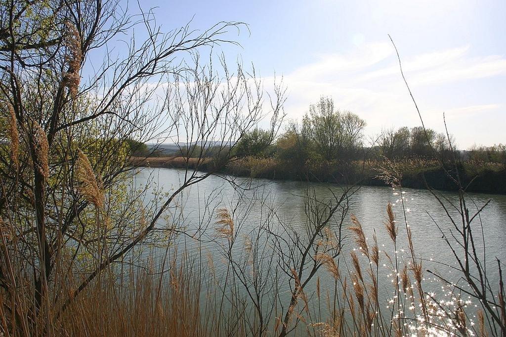 Reserva Natural de los Galachos de la Alfranca de Pastriz La Cartuja y El Burgo de Ebro