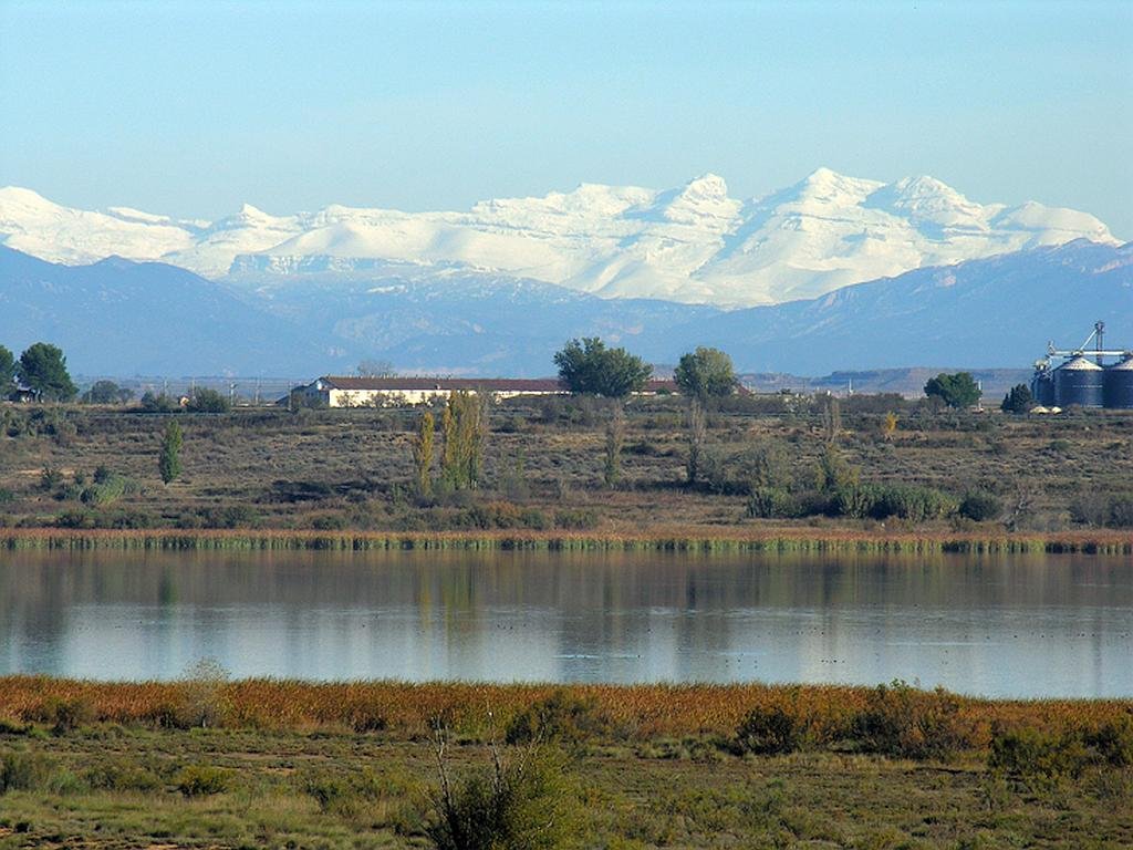 The Refugio de Fauna Silvestre de la Laguna de Sariñena
