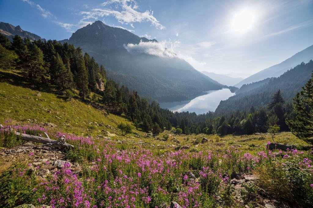 The Aigüestortes i Estany de Sant Maurici National Park was created is the only protected area with National Park status in Catalonia