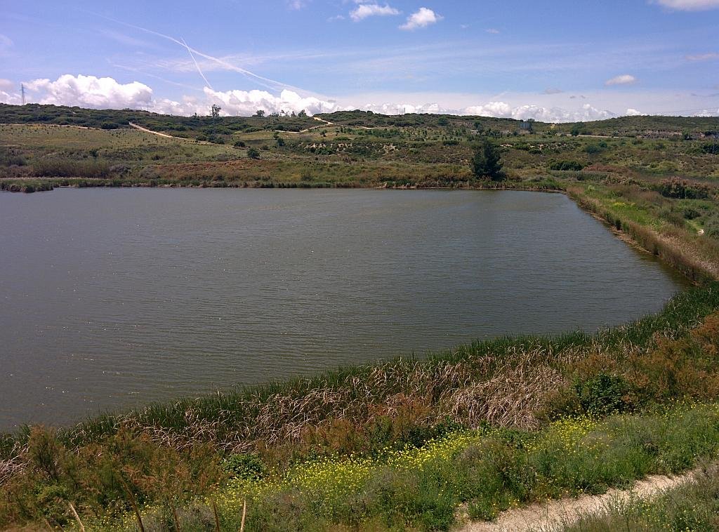 Reserva del Regajal-Mar de Ontígola