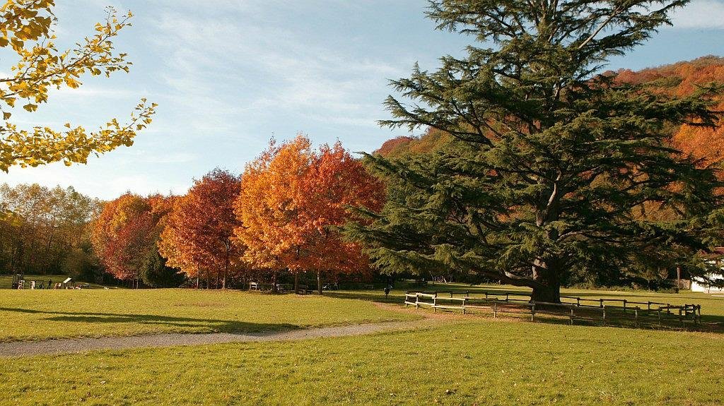 The Señorío de Bértiz Natural Park is located in the municipality of Bertizarana 49 kilometres north of Pamplona along the banks of the river Bidasoa