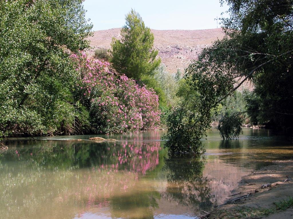 Nature reserves in Murcia