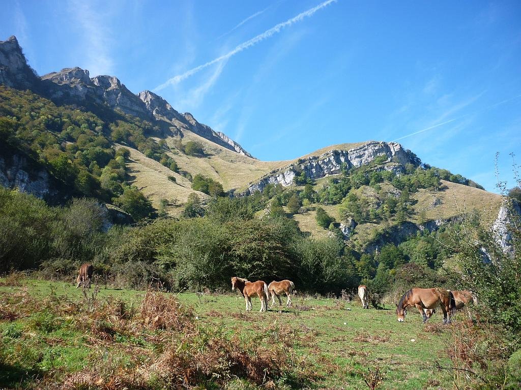 The Sierra de Aralar Natural Park is known for its beech forests that were pollarded in the past and used to make charcoal. It is a place of true scenic beauty