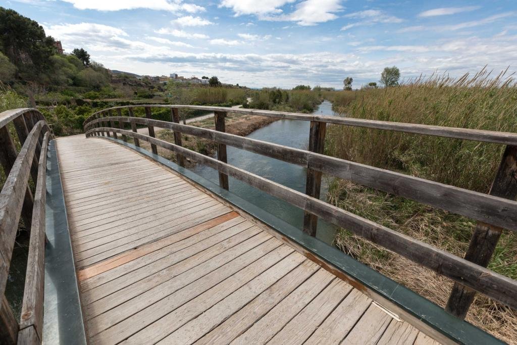 The Turia Natural Park hosts a valuable Mediterranean riparian woodland along the banks of the river Turia