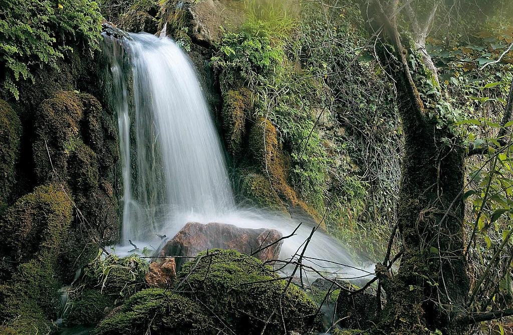 The relatively small protected area of the Pagoeta Natural park is formed by two estates, Pagoeta and Altzola