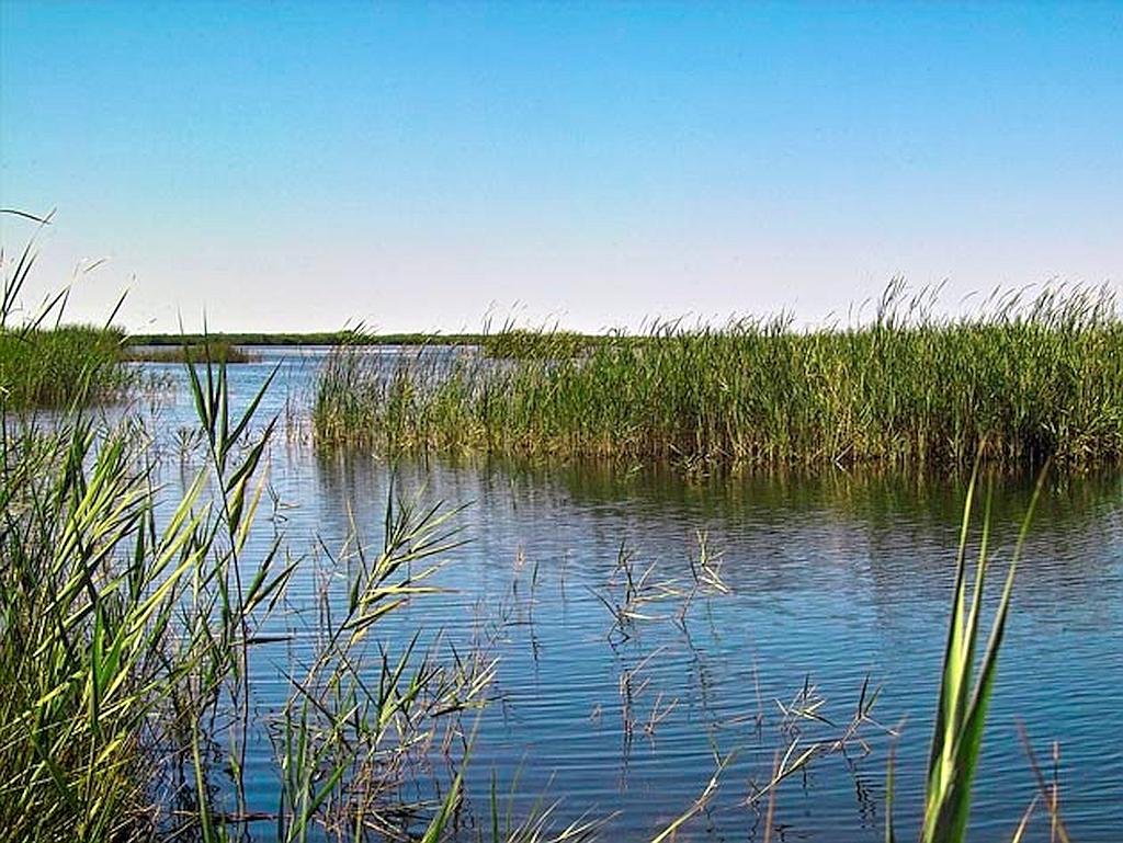 The Prado de Cabanes -Torreblanca Natural Park (in Valencian, Parc Natural del Prat de Cabanes-Torreblanca) consists of an area of ​​wetlands separated from the sea by a natural dam of gravels and sandy marshes.