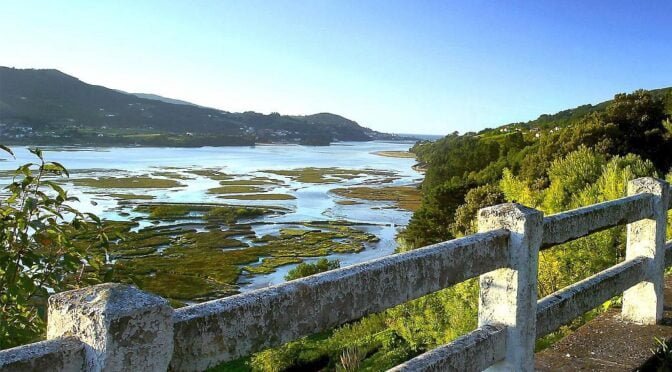 The Urdaibai Biosphere Reserve is located around the estuary of Urdaibai which is a natural area formed at the mouth of the river Oca
