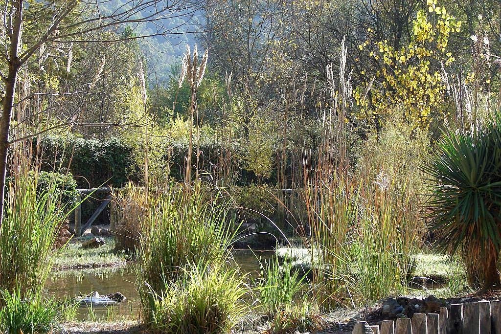 The Torre de Vinagre Botanic Gardens (Jardin Botánico Torre del Vinagre) is located on the Tranco reservoir road (A - 319) at km. 48, Coto Ríos (Santiago-Pontones)