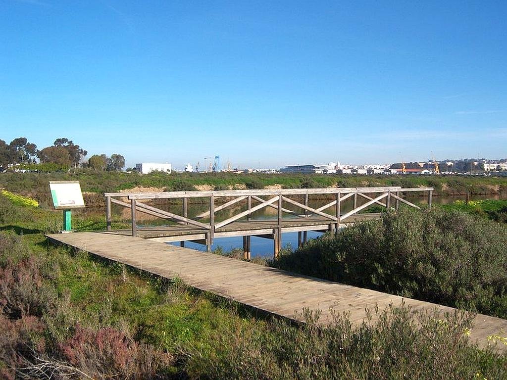 A relatively small protected area situated at the mouth of the river Odiel, between the towns of Huelva, Gibraleón, Aljaraque and Punta Umbría, the Marismas de Odiel Biosphere Reserve is an important wetland for both resident and migratory birdlife.
