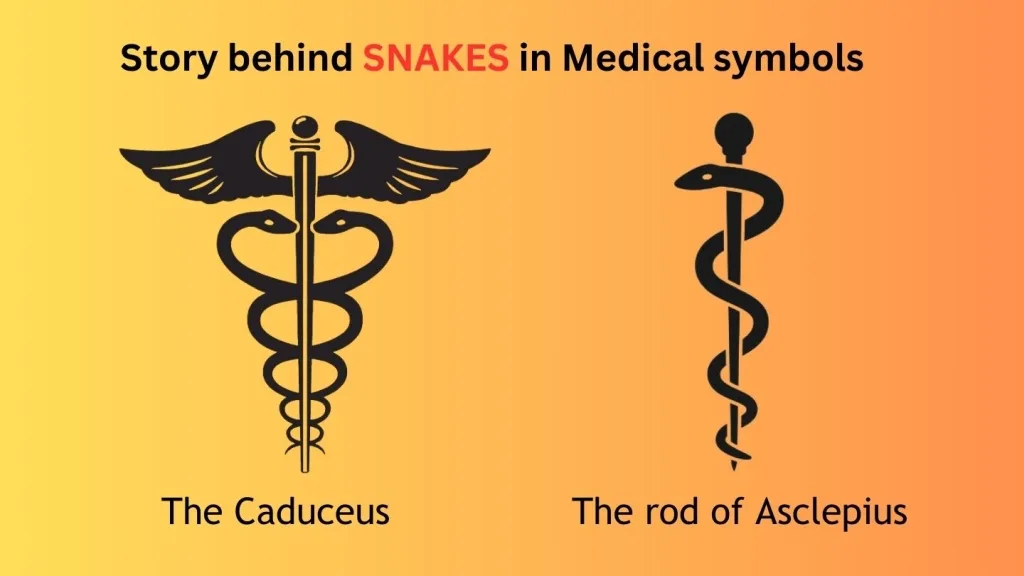 The rod of Asclepius