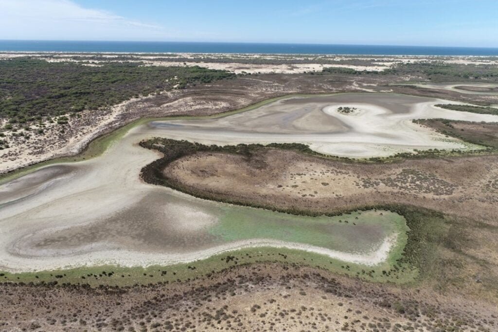 News from the Iberia Nature Forum