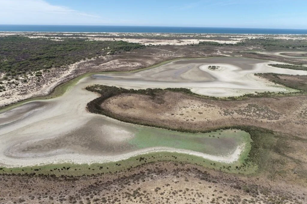 News from the Iberia Nature Forum