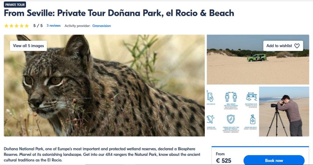 Guided tour to Doñana national park