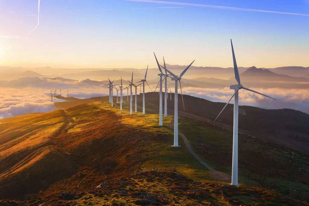 Wind Farms in Cádiz Pose Grave Threat to Bat Populations Study Finds
