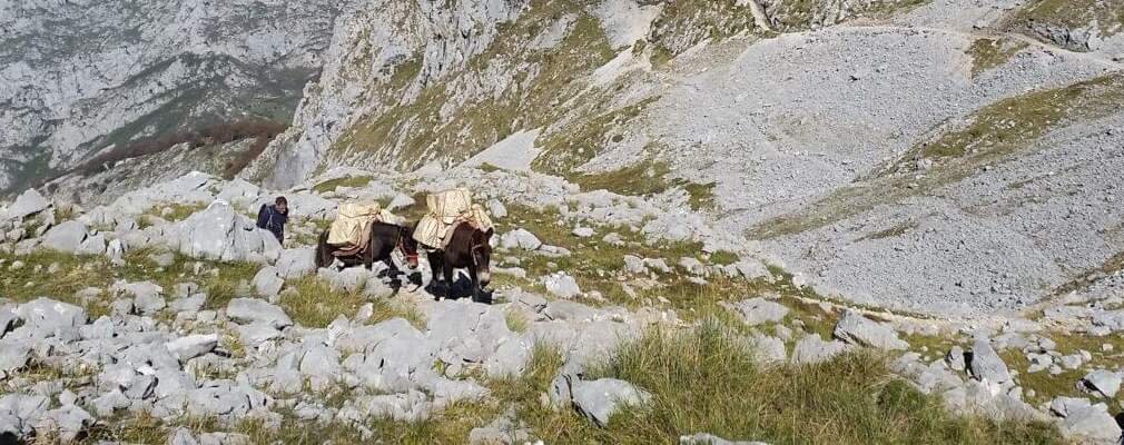 Ibex Trex Walking Holidays