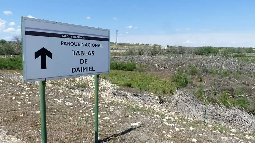 The vanishing Daimiel wetlands: A 50-year environmental crisis and a national park in peril