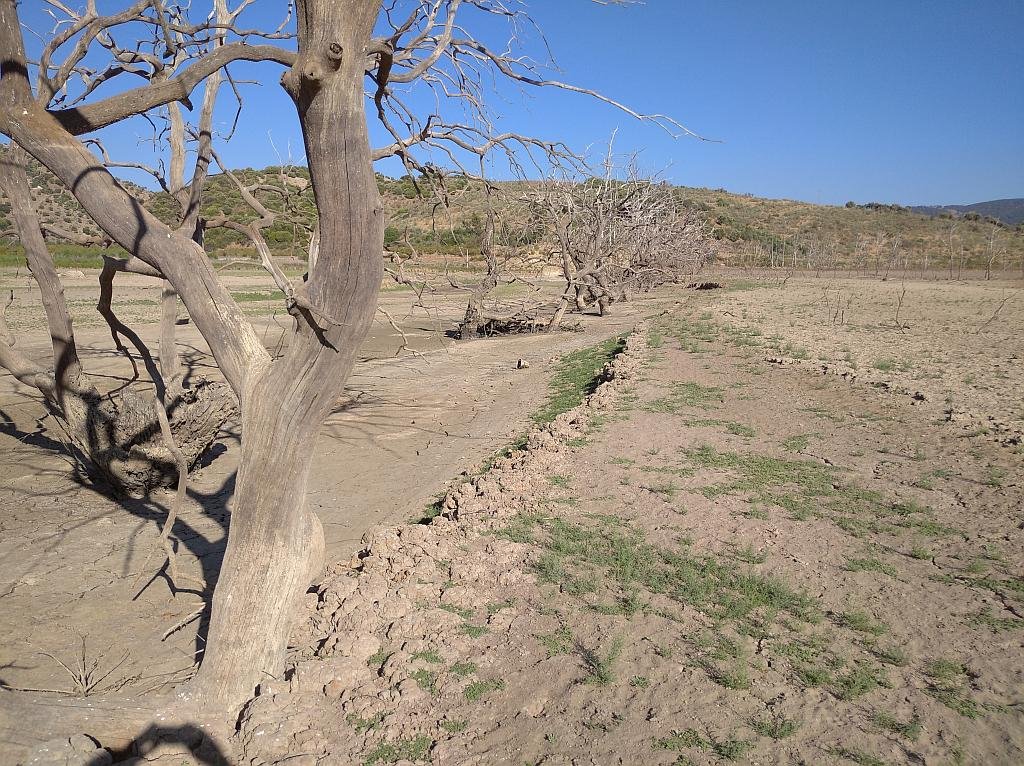 Preserving Spain's Natural Paradises: Unveiling the Threats to National Parks