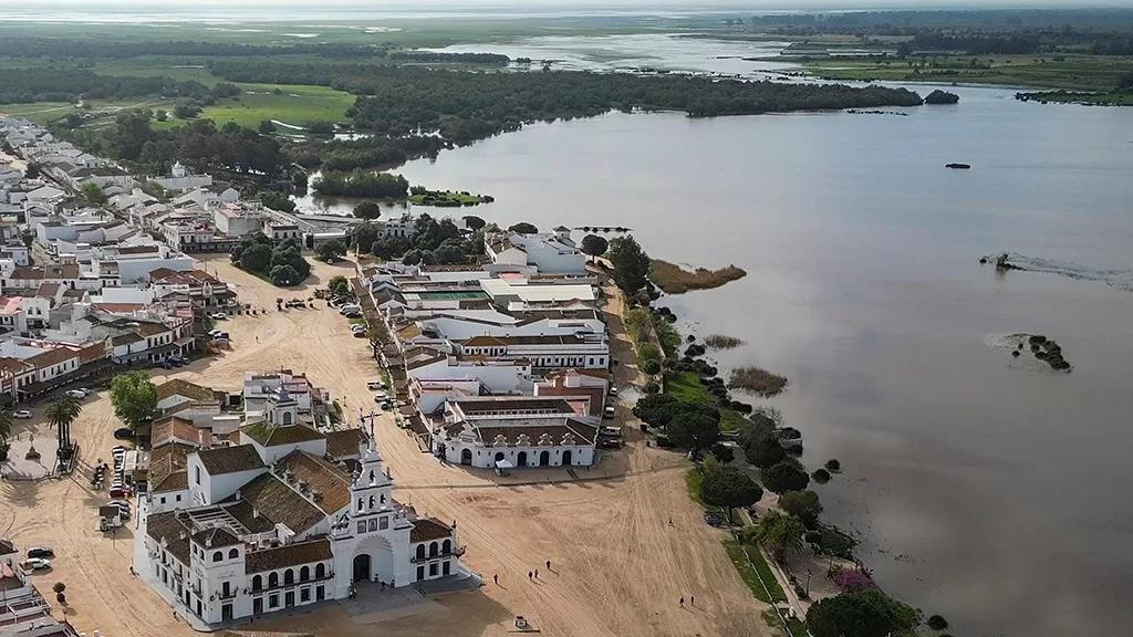 How Rainfall Revived Doñana: A Wetland in Full Bloom After Years of Decline