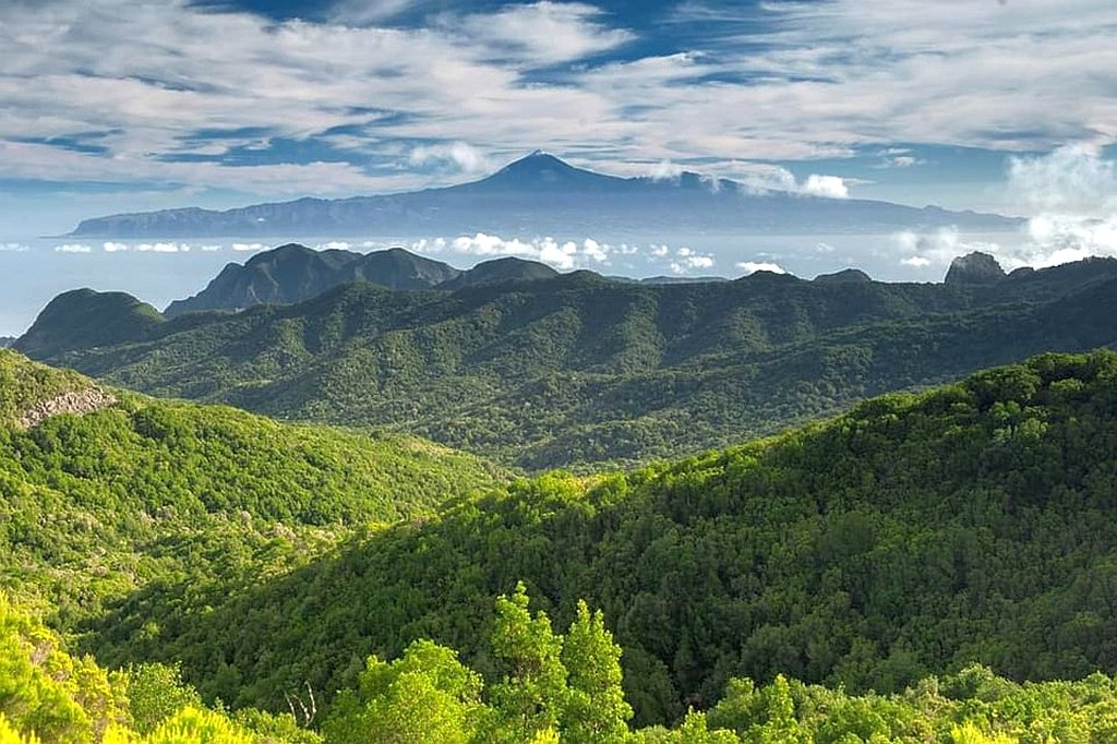 La Gomera - Garajonay National Park