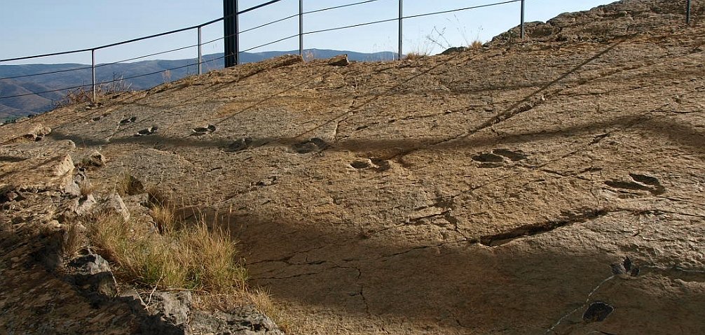 la Rioja dinosaur footprints